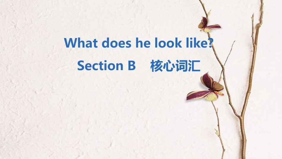 七年级英语下册 Unit 9 What does he look like Section B核心词汇课件 （新版）人教新目标版_第1页