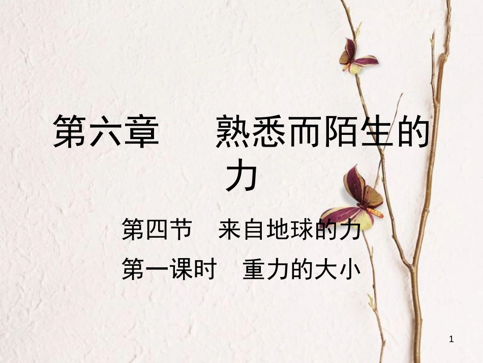 学年八年级物理全册 第六章 第四节 来自地球的力（第1课时 重力的大小）课件 （新版）沪科版_第1页