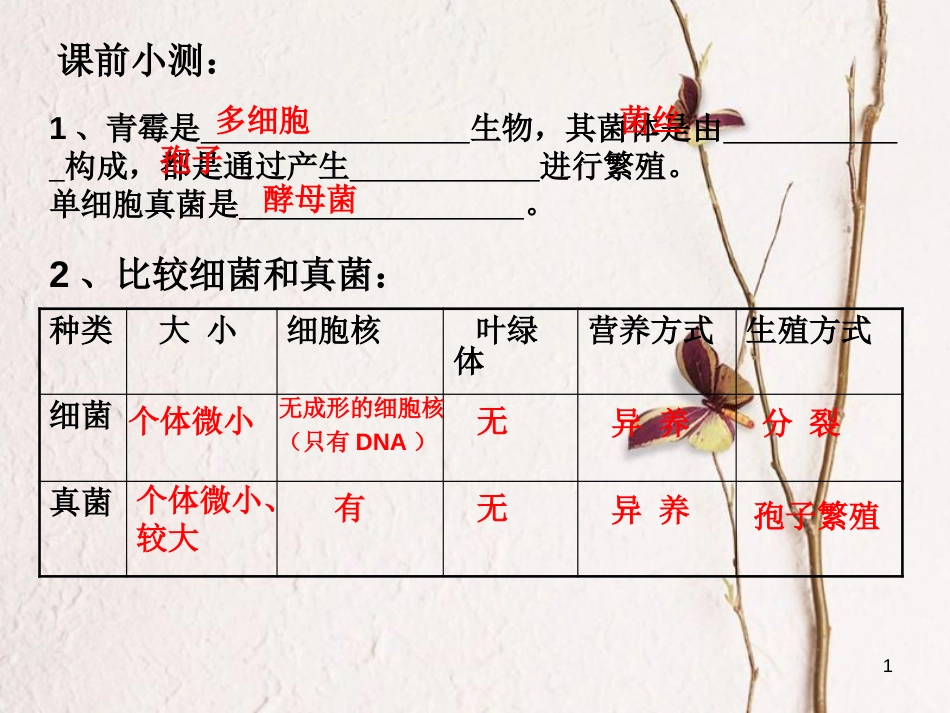 八年级生物上册 5.4.4 细菌和真菌自然界中的作用课件 （新版）新人教版_第1页