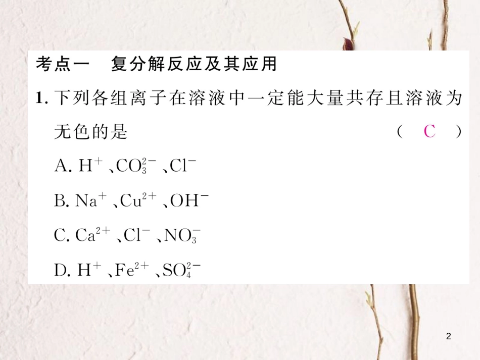 九年级化学下册 第11单元 盐 化肥核心考点突破作业课件 （新版）新人教版_第2页