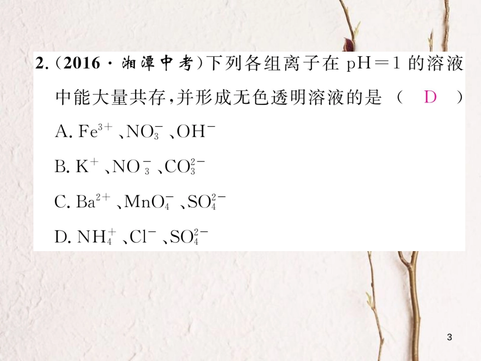九年级化学下册 第11单元 盐 化肥核心考点突破作业课件 （新版）新人教版_第3页