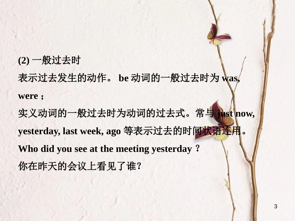 山东省菏泽市中考英语总复习 语法十一 动词的时态课件_第3页