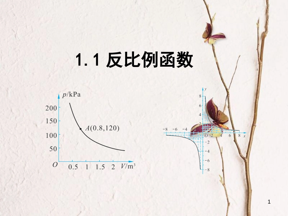 九年级数学上册 第1章 反比例函数 1.1 反比例函数课件 （新版）湘教版_第1页