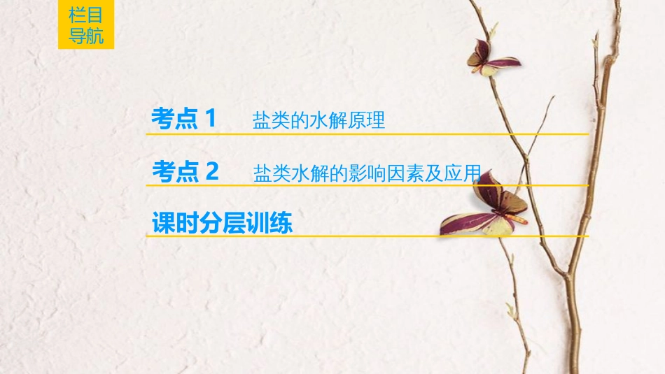 （全国通用）2019版高考化学一轮复习 第8章 水溶液中的离子平衡 第3节 盐类的水解课件_第2页