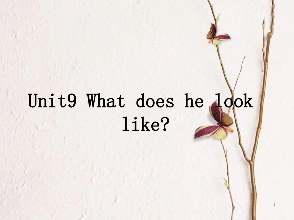 七年级英语下册 Unit 9 What does he look教学课件 （新版）人教新目标版_第1页