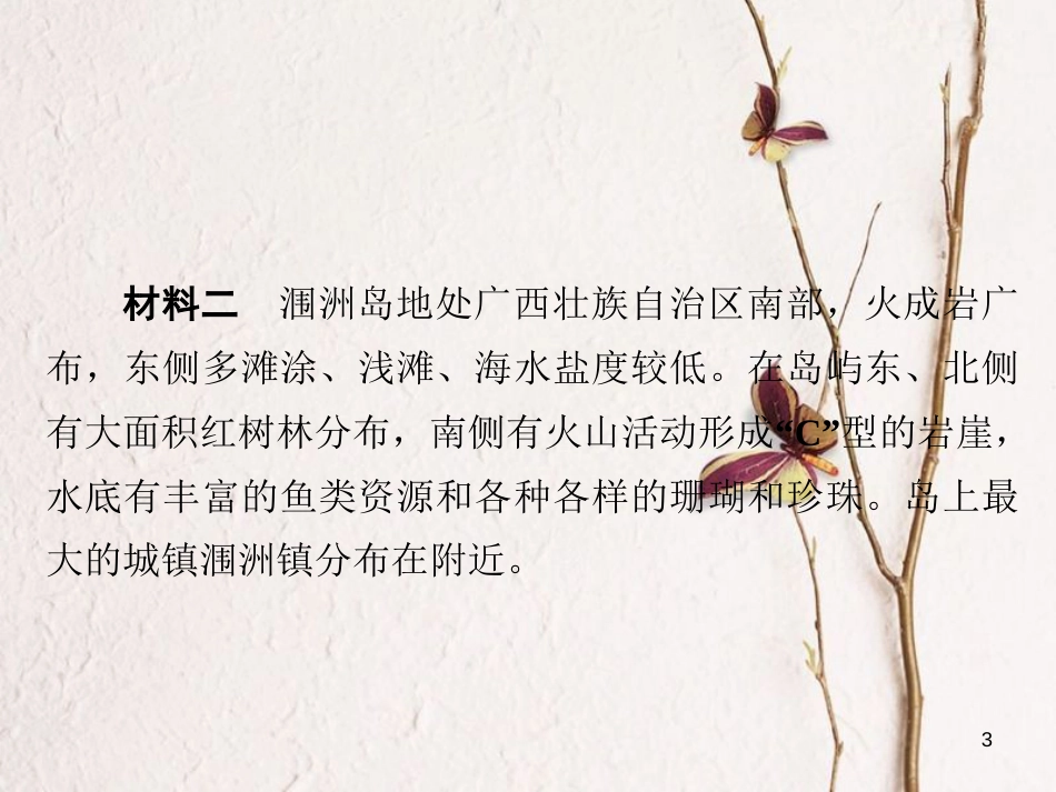 （全国通用）高考地理二轮复习 第三篇 备考与冲刺 专题二 综合题题型突破 题型突破五 对策措施类习题课件_第3页