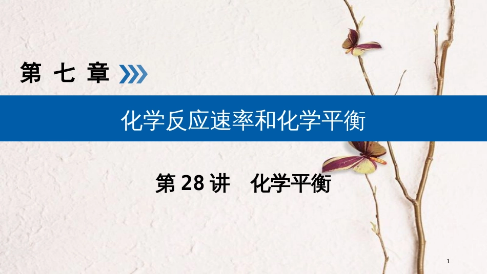 （全国通用版）2019版高考化学大一轮复习 第28讲 化学平衡 考点1 可逆反应与化学平衡状态优选课件_第1页