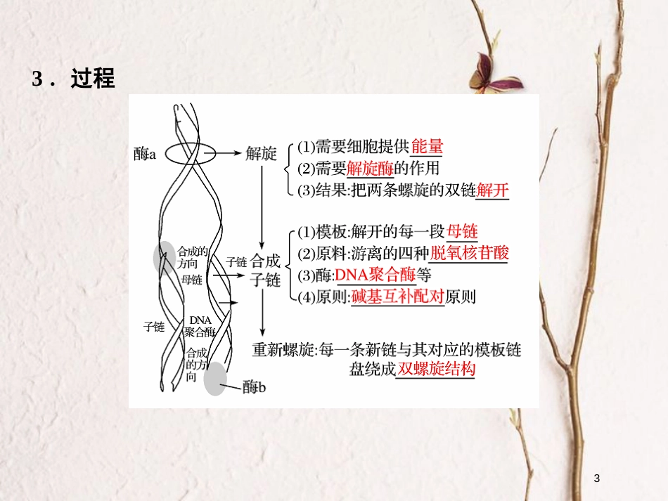 高中生物 第四章 遗传的分子基础 第13课时 DNA分子的复制课件 苏教版必修2_第3页