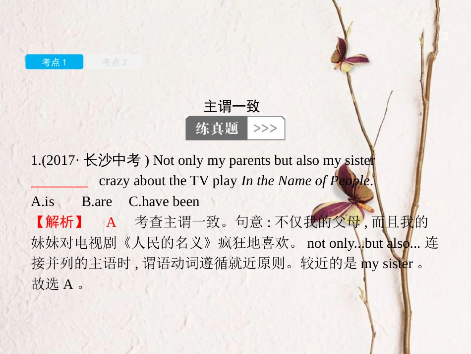 中考英语复习 第二篇 语法突破篇 专题十六 主谓一致和倒装句课件_第3页