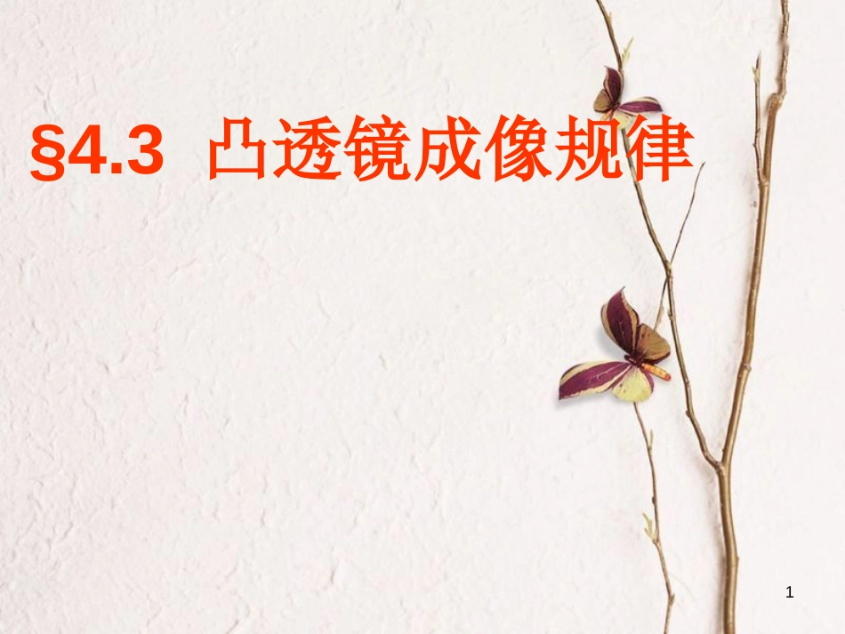 八年级物理上册 4.3《凸透镜成像规律》课件1 （新版）苏科版_第1页