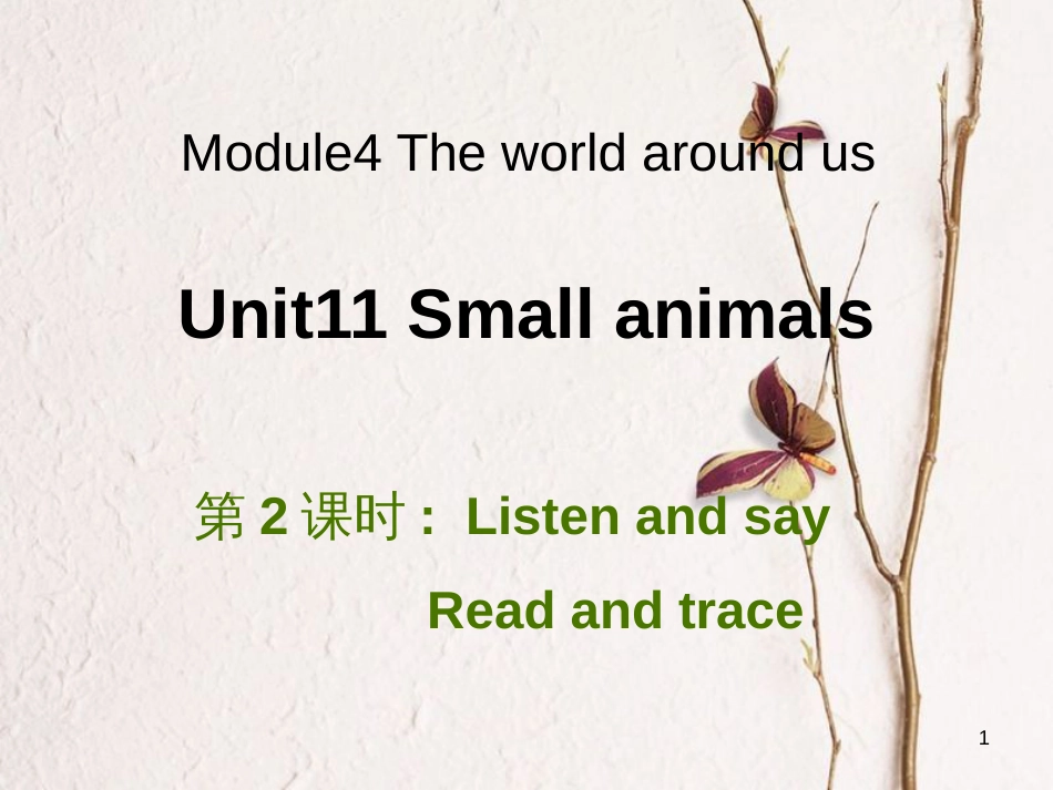 三年级英语上册 Unit 11 Small animals（第2课时）课件 牛津上海版_第1页