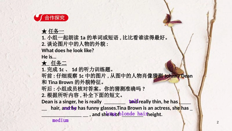 七年级英语下册 Unit 9 What does he look like Section B（1a-1e）导学课件 （新版）人教新目标版_第2页