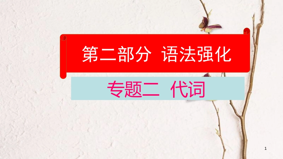 云南省中考英语学业水平精准复习方案 第二部分 语法强化 专题二 代词课件_第1页