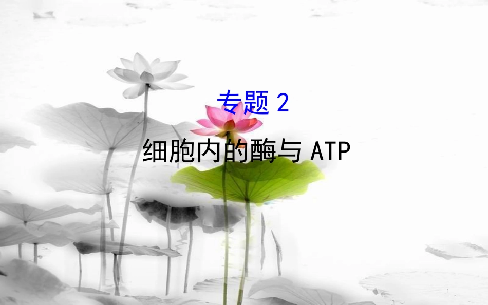 届高三生物二轮复习 2.2 专题2 细胞内的酶与ATP课件_第1页