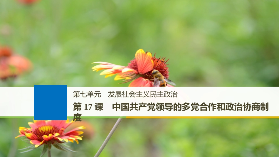 2019届高考政治一轮复习 第七单元 发展社会主义民主政治 第17课 中国共产党领导的多党合作和政治协商制度课件 新人教版必修2[共109页]_第1页