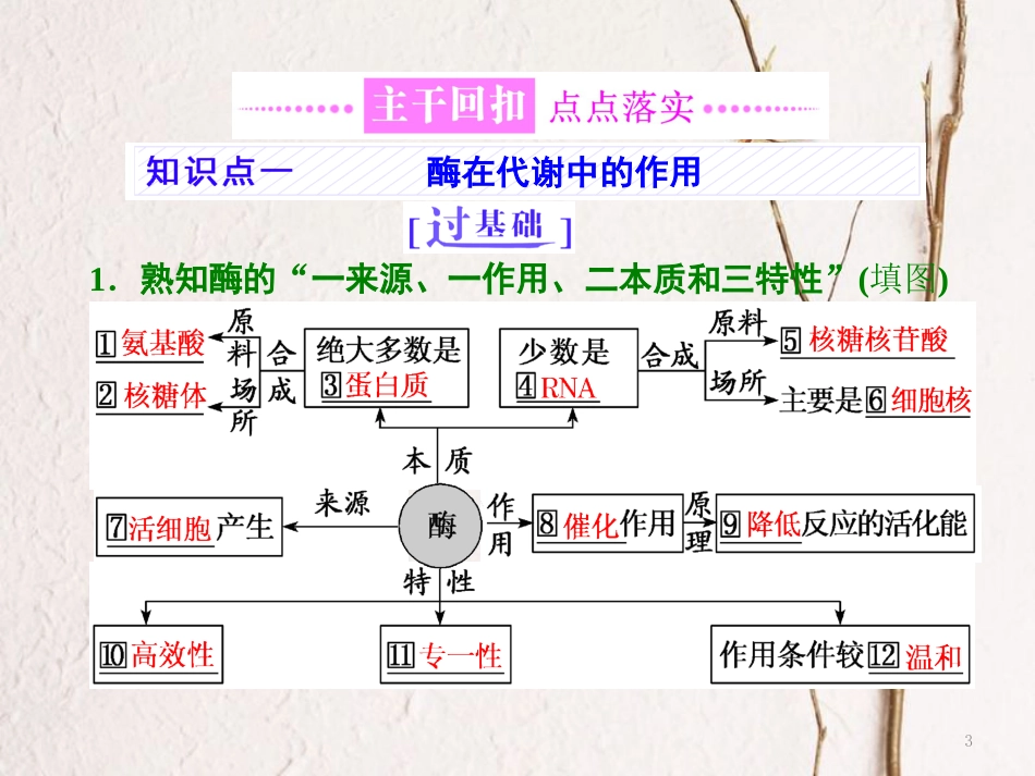 （全国通用）高考生物二轮复习 专题二 代谢 串讲一 酶和ATP 第1课时 基础自查课件_第3页
