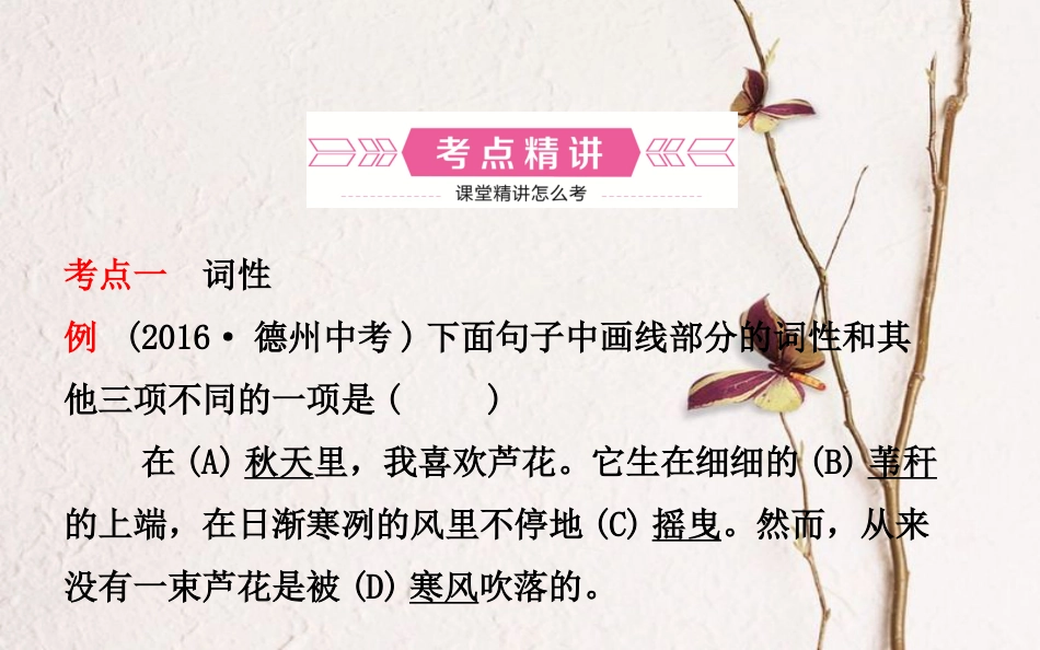 山东省德州市中考语文 专题复习四 语法知识课件_第2页