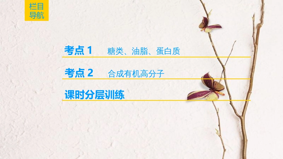 （全国通用）2019版高考化学一轮复习 有机化学基础 第4节 生命中的基础有机化学物质 合成高分子化合物课件 选修5_第2页