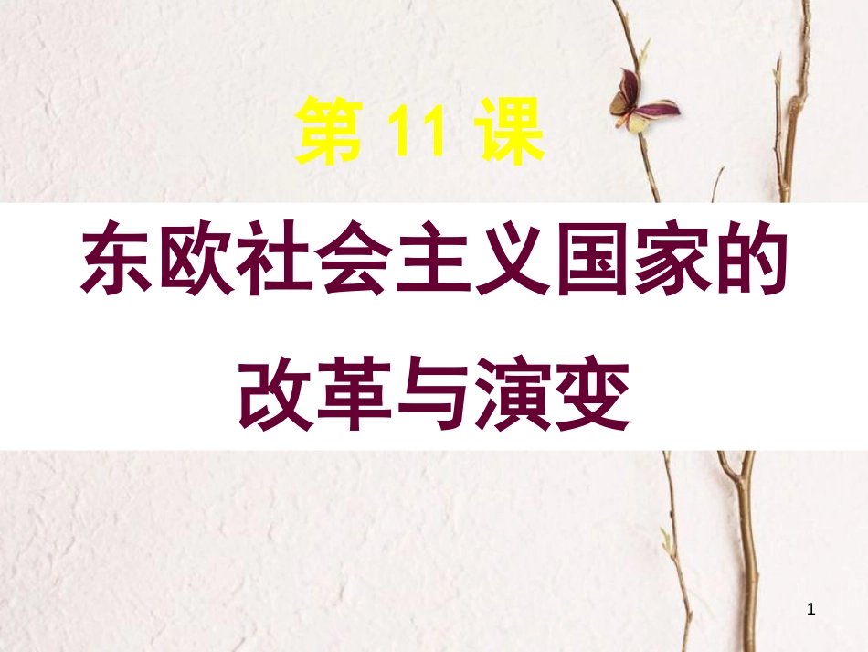 广东省汕头市龙湖区九年级历史下册 第11课 东欧社会主义国家的改革与演变课件 新人教版_第1页