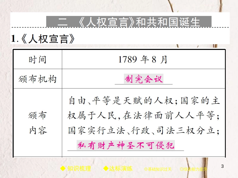 九年级历史上册 世界近代史(上)第一学习主题 欧美国家的巨变与殖民扩张 第15课 法国大革命课件 川教版_第3页