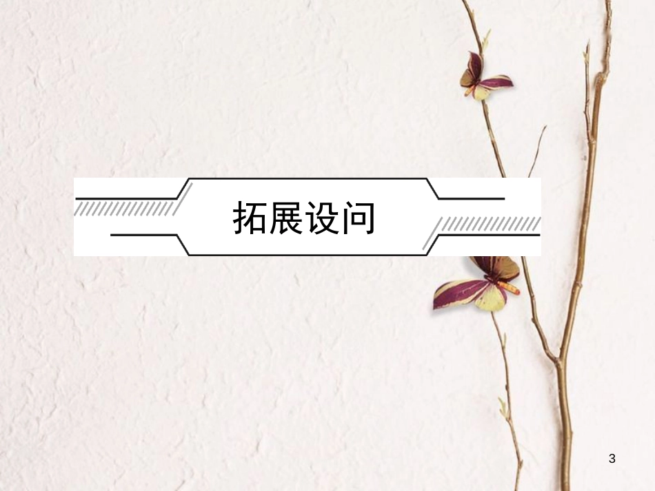 （福建专版）中考历史总复习 专题三 改革与制度创新课件_第3页
