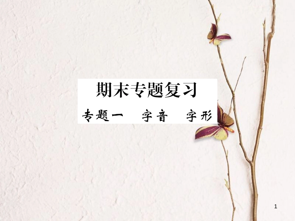 八年级语文下册 专题一 字音 字形习题课件 鄂教版_第1页
