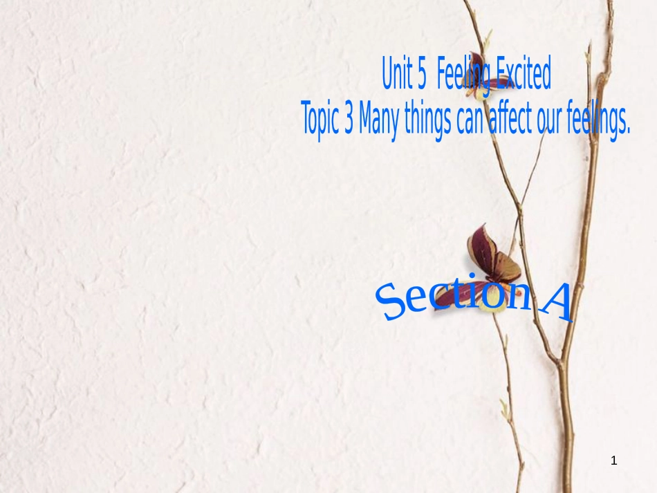 广东省清远市佛冈县龙山镇八年级英语下册 Unit 5 Feeling excited Topic 3 Many things can affect our feelings Section A课件 （新版）仁爱版_第1页