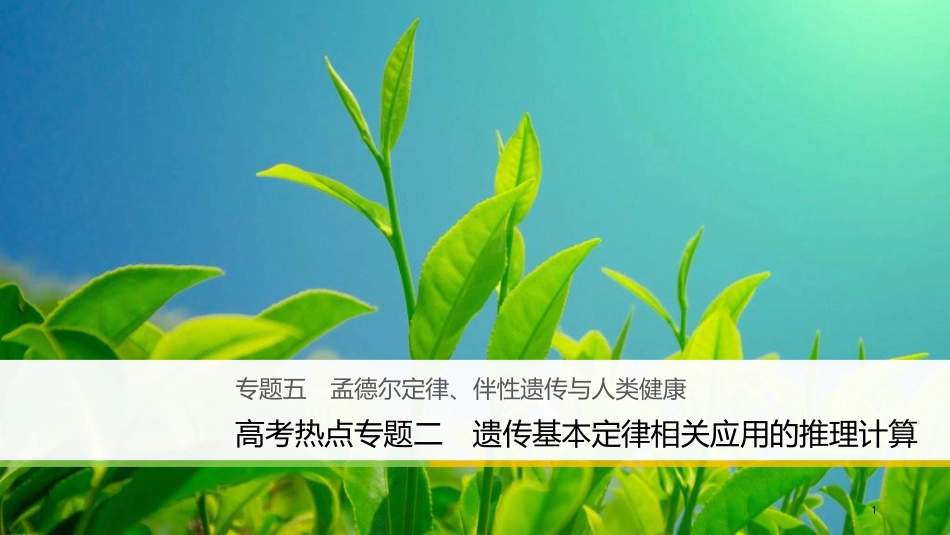 （浙江选考）高三生物二轮专题复习 专题五 孟德尔定律、伴性遗传与人类健康 高考热点专题二 遗传基本定律相关应用的推理计算课件 新人教版_第1页