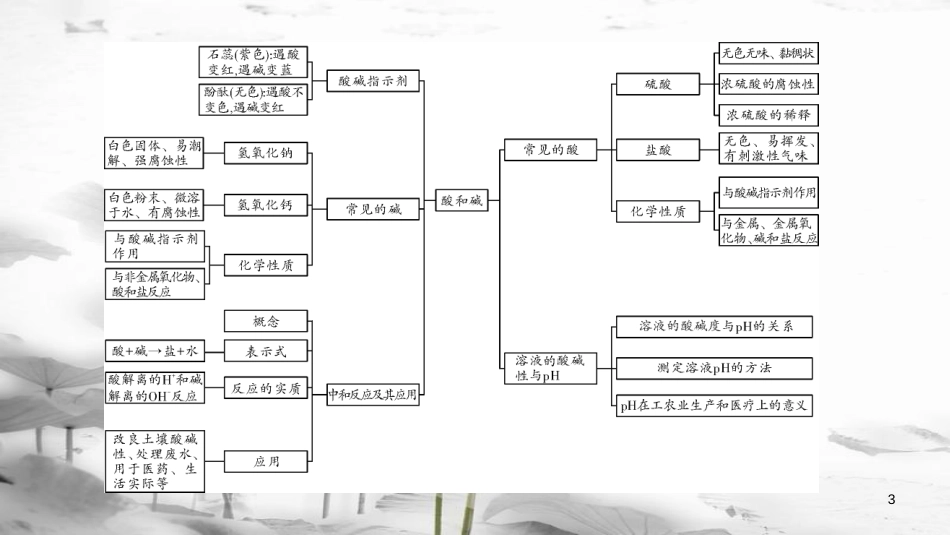 中考化学 第一部分 教材同步复习 第10单元 课时1 课件_第3页