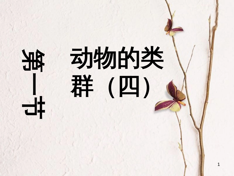 八年级生物下册 22.4《动物的主要类群》课件1 （新版）北师大版_第1页