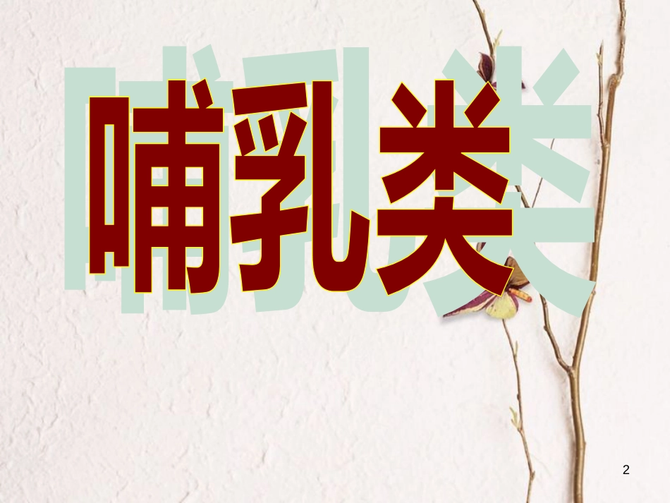 八年级生物下册 22.4《动物的主要类群》课件1 （新版）北师大版_第2页