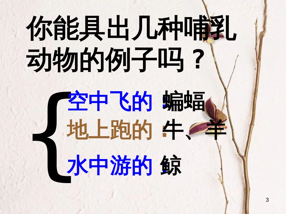 八年级生物下册 22.4《动物的主要类群》课件1 （新版）北师大版_第3页