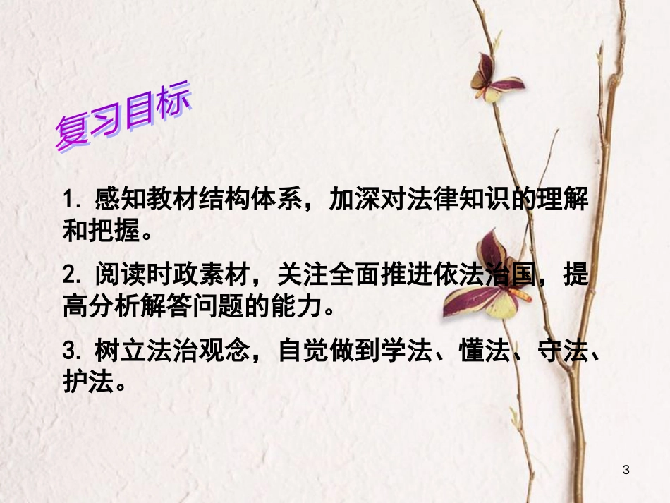 江苏省扬州市中考政治 依法治国复习课件_第3页