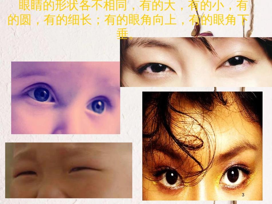 二年级美术上册 亮眼睛课件1 苏少版_第3页