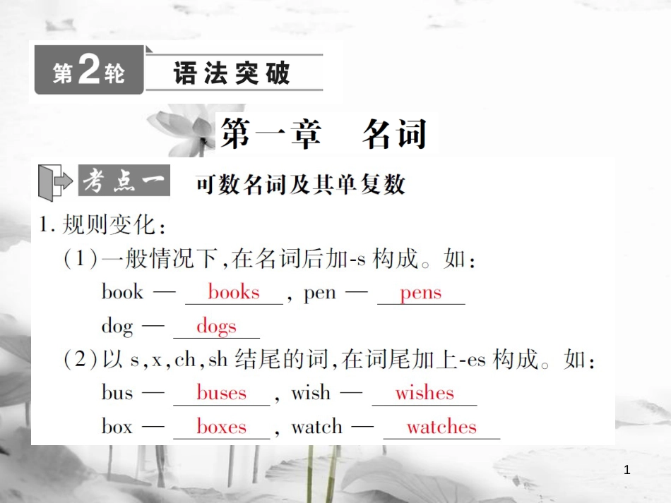 届中考英语复习 第二轮 语法突破 第一章 名词课件_第1页