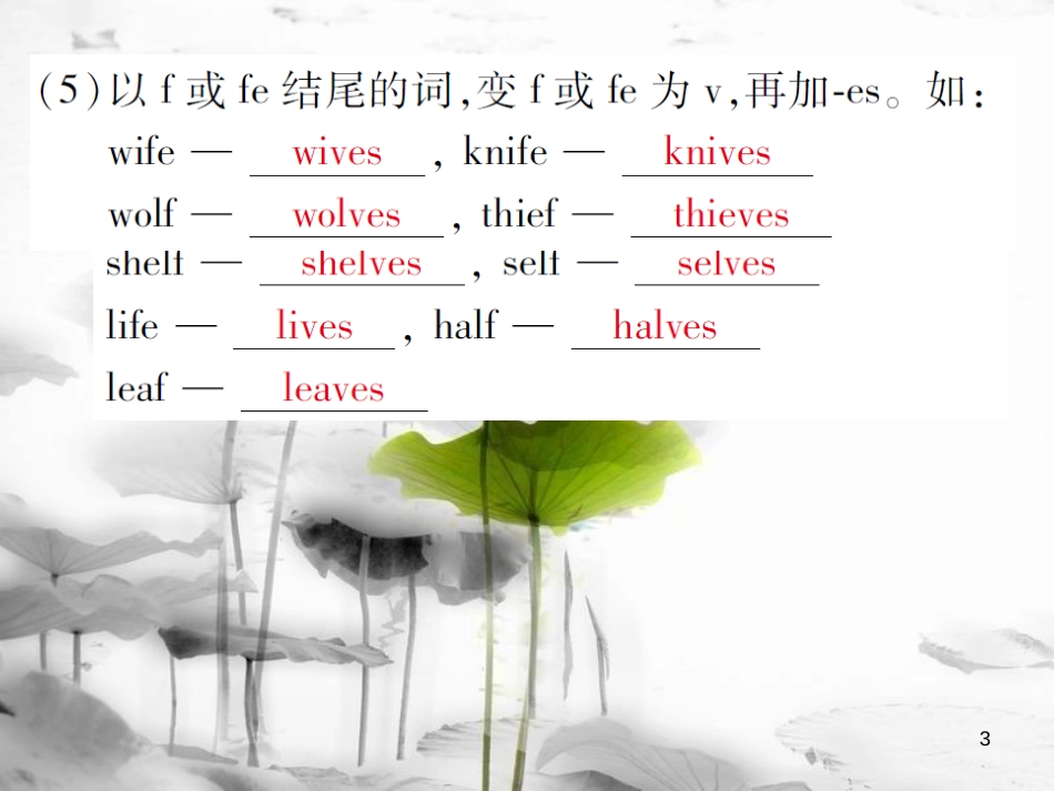 届中考英语复习 第二轮 语法突破 第一章 名词课件_第3页