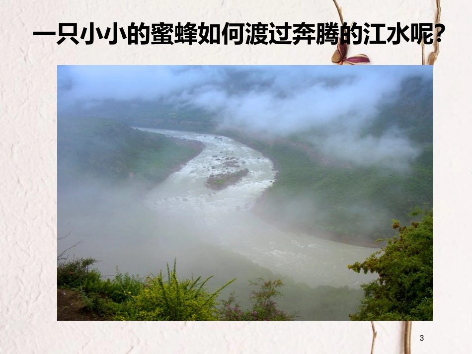 七年级音乐下册 第2单元 欣赏《蜜蜂过江》课件2 新人教版_第3页