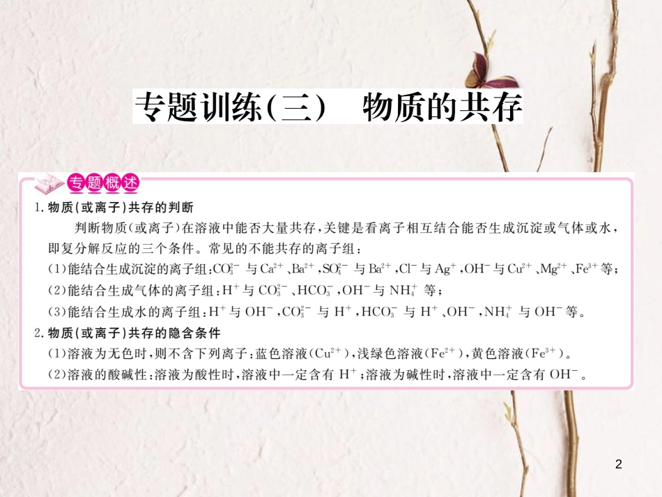（江西专版）九年级化学下册 第11单元 盐 化肥 专题训练（三）物质的共存课件 （新版）新人教版_第2页