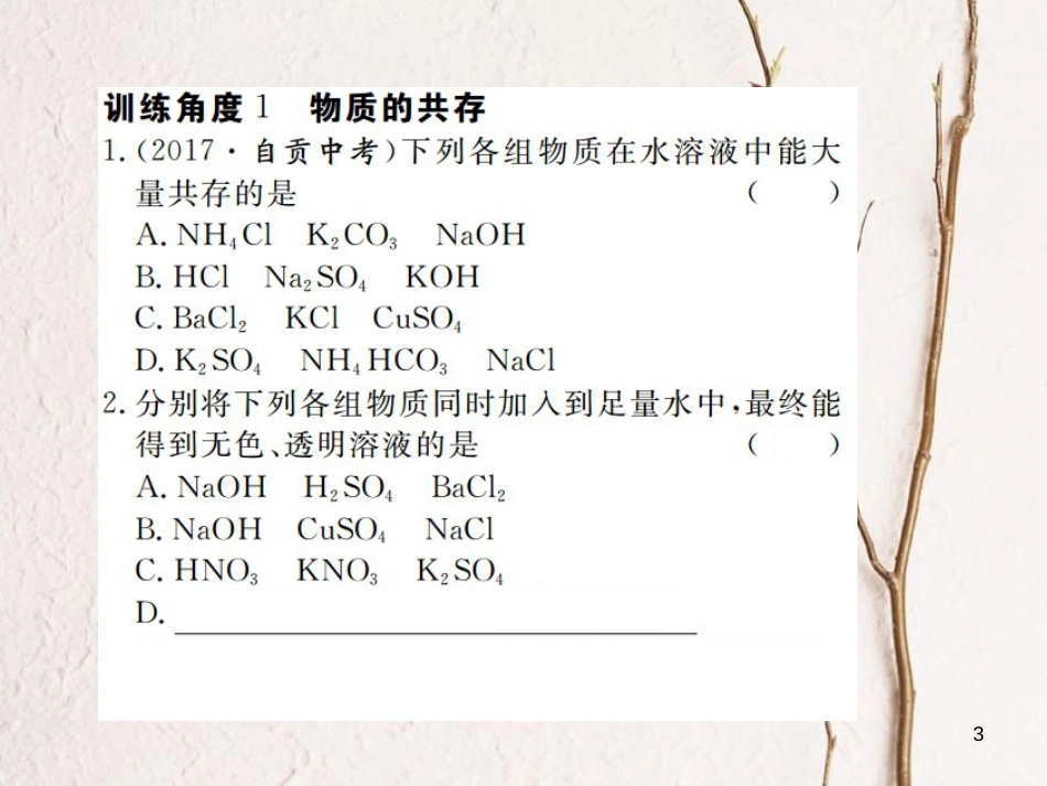 （江西专版）九年级化学下册 第11单元 盐 化肥 专题训练（三）物质的共存课件 （新版）新人教版_第3页