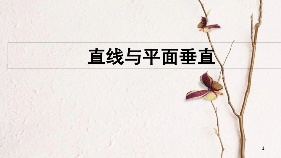 山西省忻州市高考数学专题直线与平面垂直复习课件_第1页