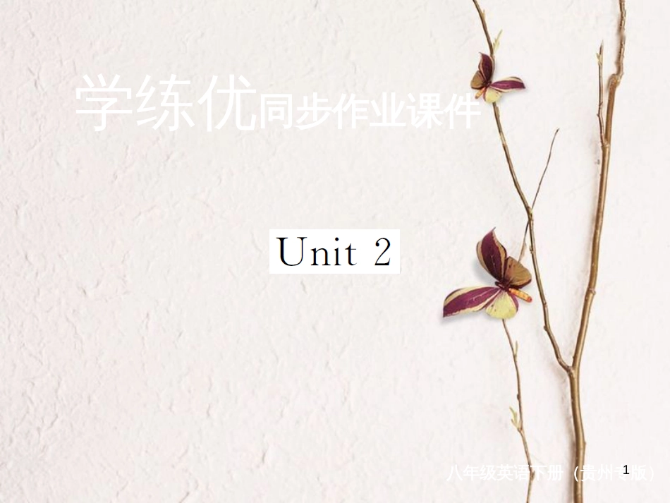 （贵州专版）八年级英语下册 Unit 2 I’ll help to clean up the city parks复习归纳作业课件 （新版）人教新目标版_第1页