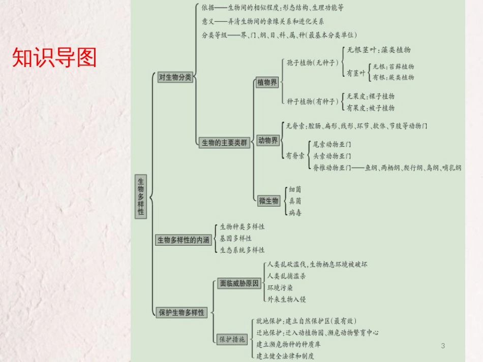 广东省中考生物 第六单元 生物的多样性及其保护课件_第3页