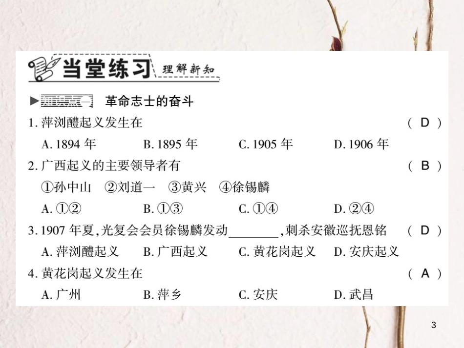 八年级历史上册 第三单元 资产阶级民主革命与中华民国的建立 第9课 辛亥革命习题课件 新人教版_第3页