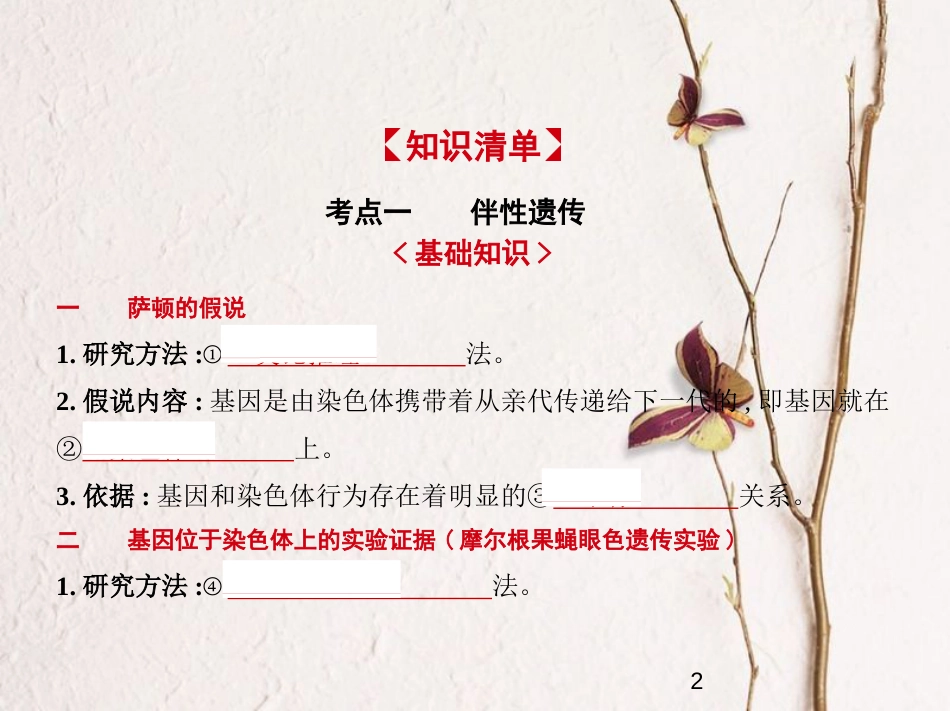 （新课标）2019版高考生物一轮复习 专题13 伴性遗传和人类遗传病课件_第2页