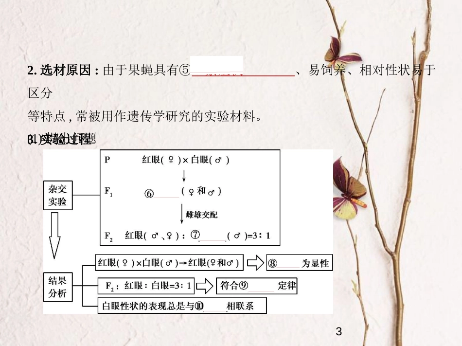 （新课标）2019版高考生物一轮复习 专题13 伴性遗传和人类遗传病课件_第3页