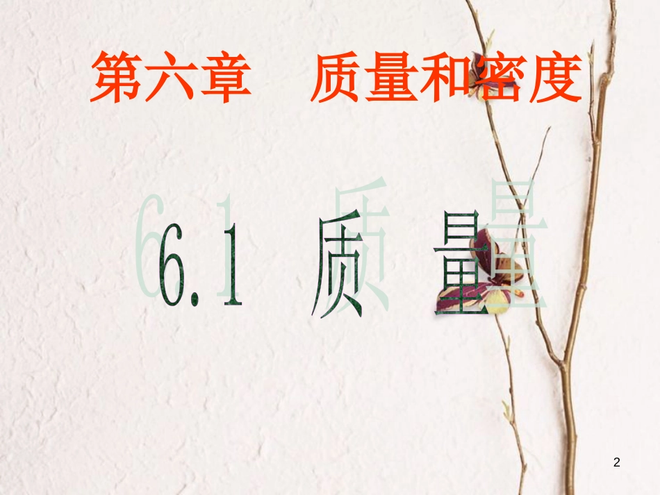 四川省华蓥市八年级物理上册 6.1 质量课件 （新版）新人教版_第2页