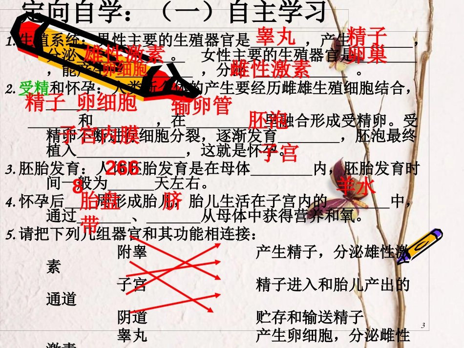 湖南省张家界市桑植县七年级生物下册 第四单元 第一章 第二节 人的生殖课件 （新版）新人教版_第3页
