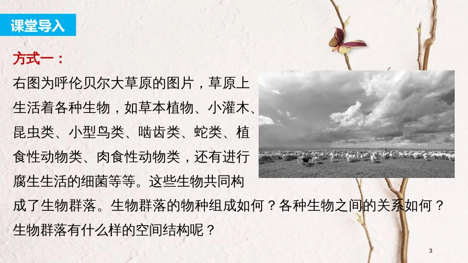 高中生物 第4章 种群和群落 第3节 群落的结构课件 新人教版必修3[共46页]_第3页