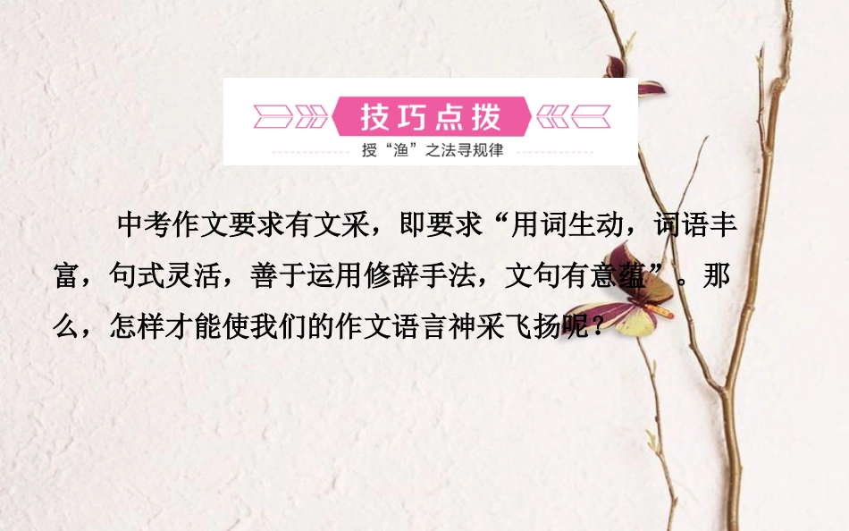 山东省德州市中考语文 专题复习十六 写作基础指南 课时6 表达的技巧课件_第2页