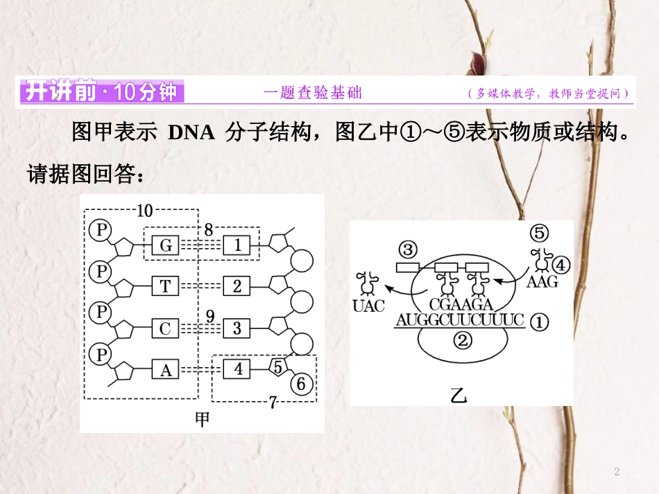 （全国通用）高考生物二轮复习 专题三 遗传 串讲一 遗传的分子基础 第2课时 高考研究课件_第2页